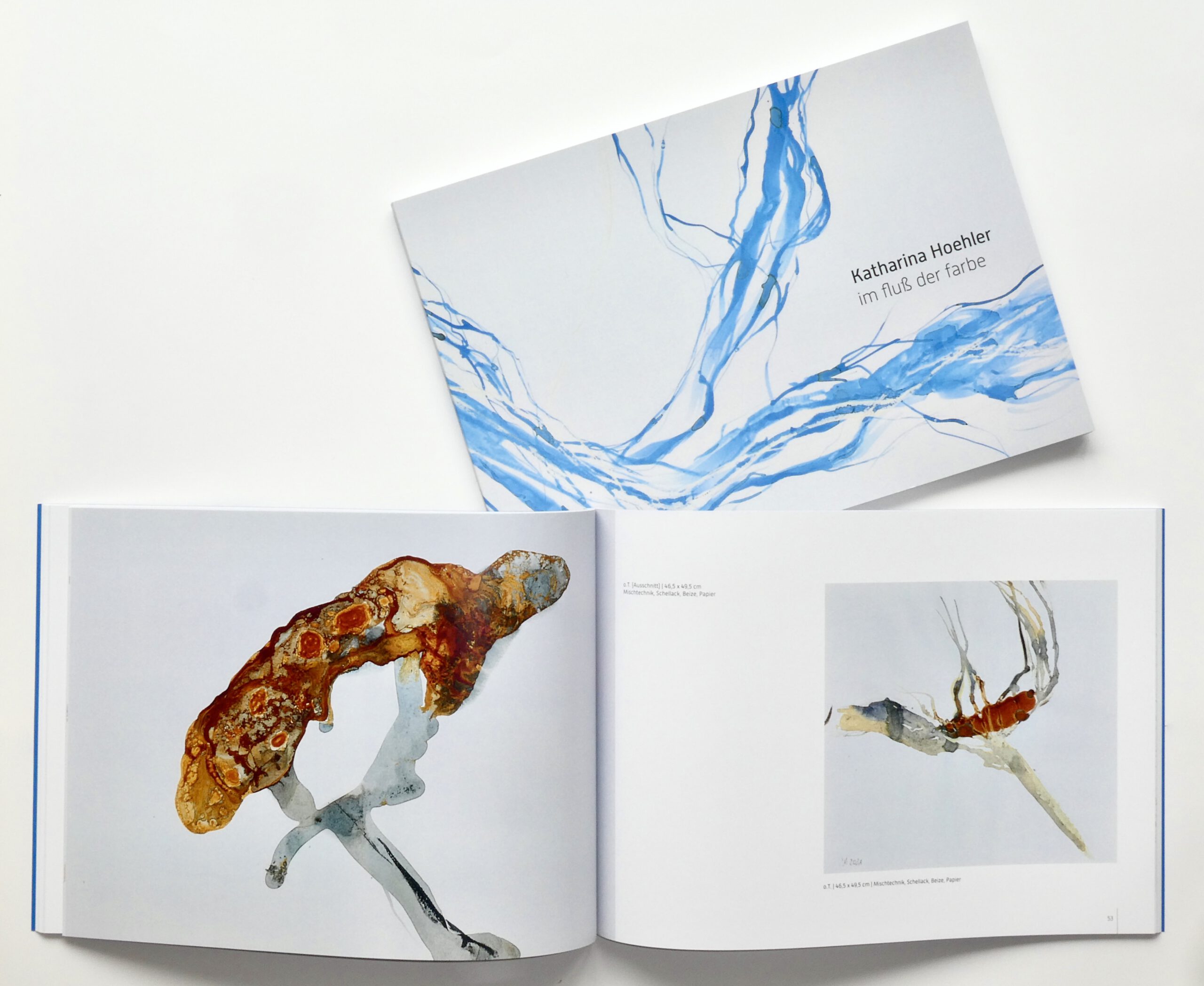 Katharina Hoehler Katalog Im Fluss der Farbe